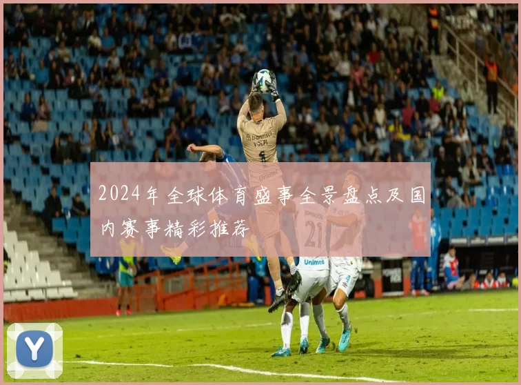 2024年全球体育盛事全景盘点及国内赛事精彩推荐