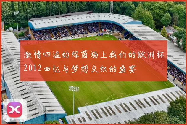 激情四溢的绿茵场上我们的欧洲杯2012回忆与梦想交织的盛宴